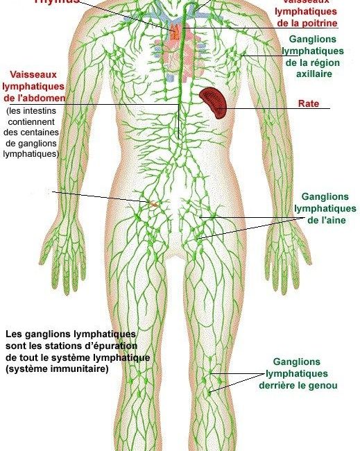 f61a1072ae3d8b2d22c59321ae222e13