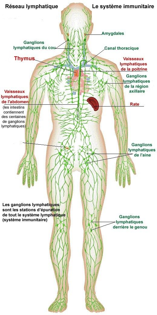 f61a1072ae3d8b2d22c59321ae222e13